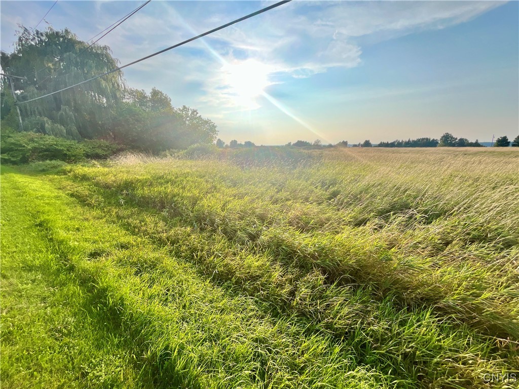 205 River Road Hammond, NY 13646 - Photo 5 of 9