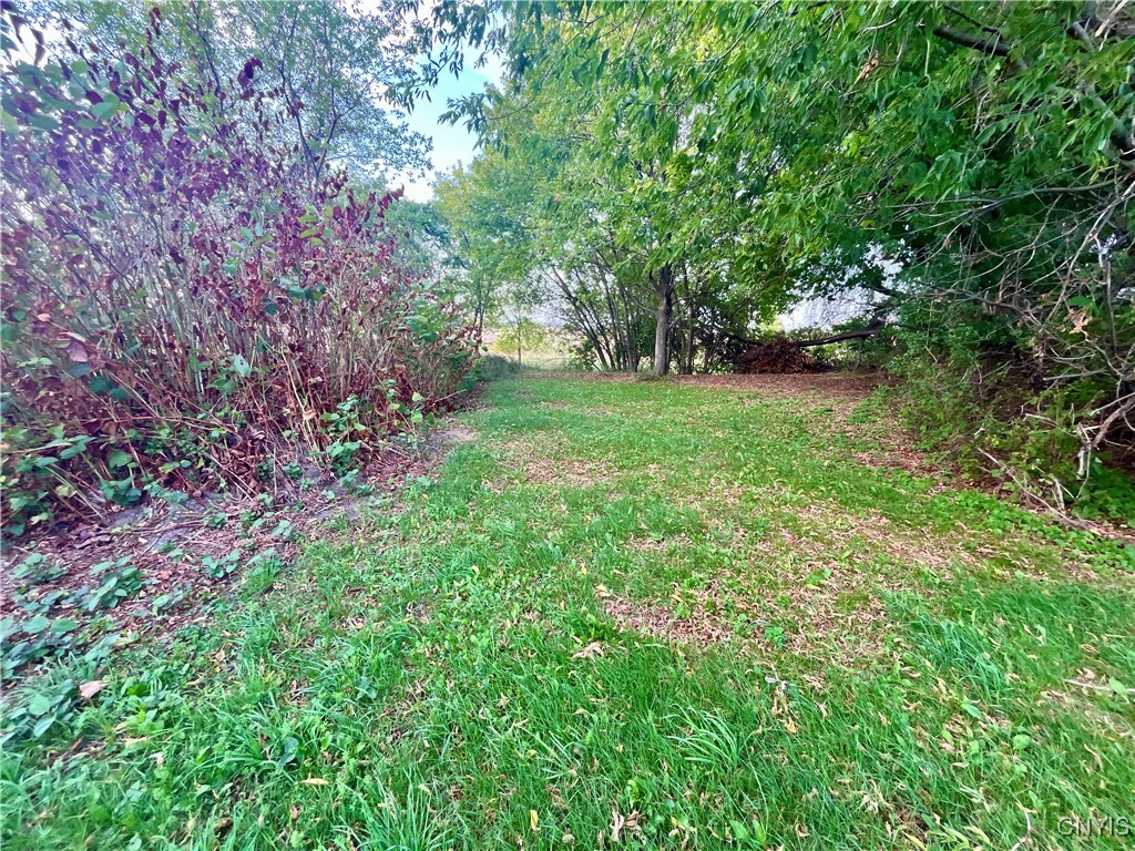 205 River Road Hammond, NY 13646 - Photo 7 of 9