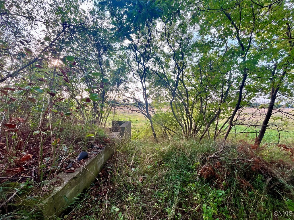 205 River Road Hammond, NY 13646 - Photo 8 of 9