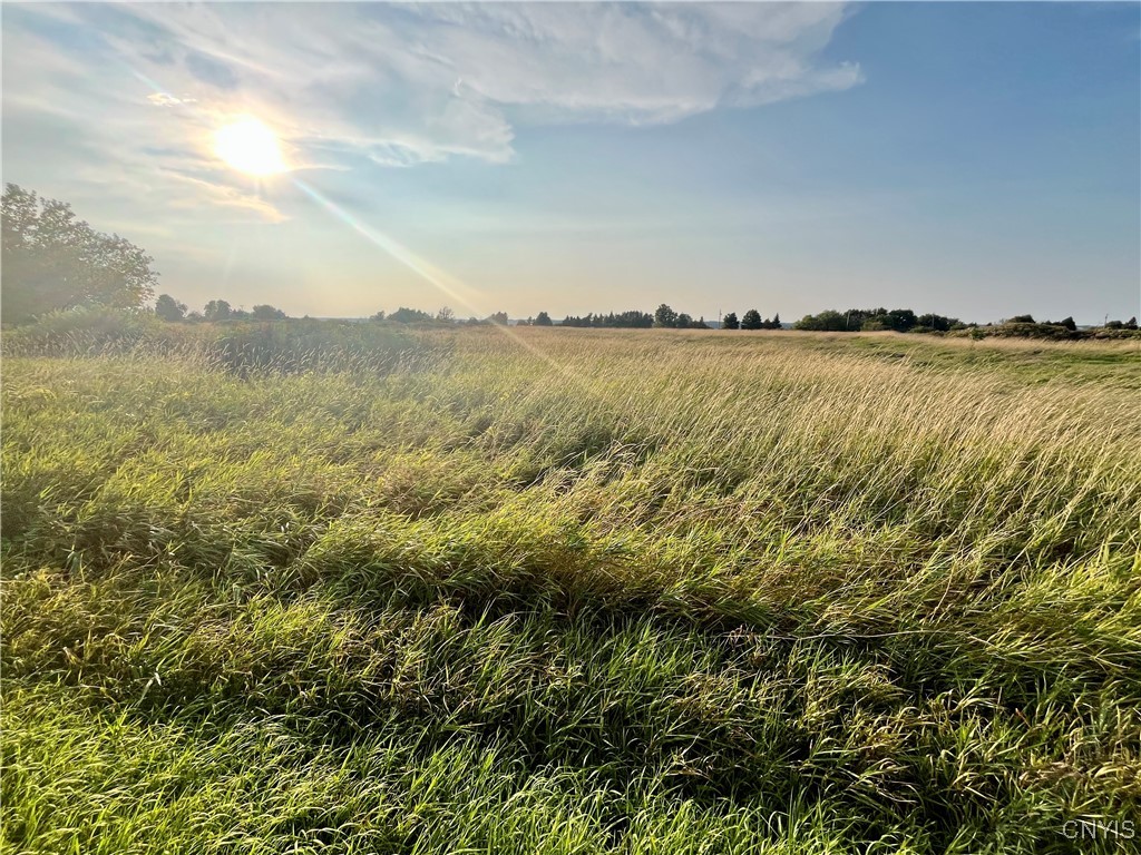 205 River Road Hammond, NY 13646 - Photo 9 of 9