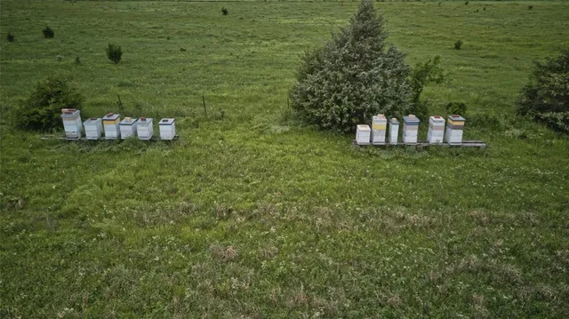 a view of a water pond with green yard