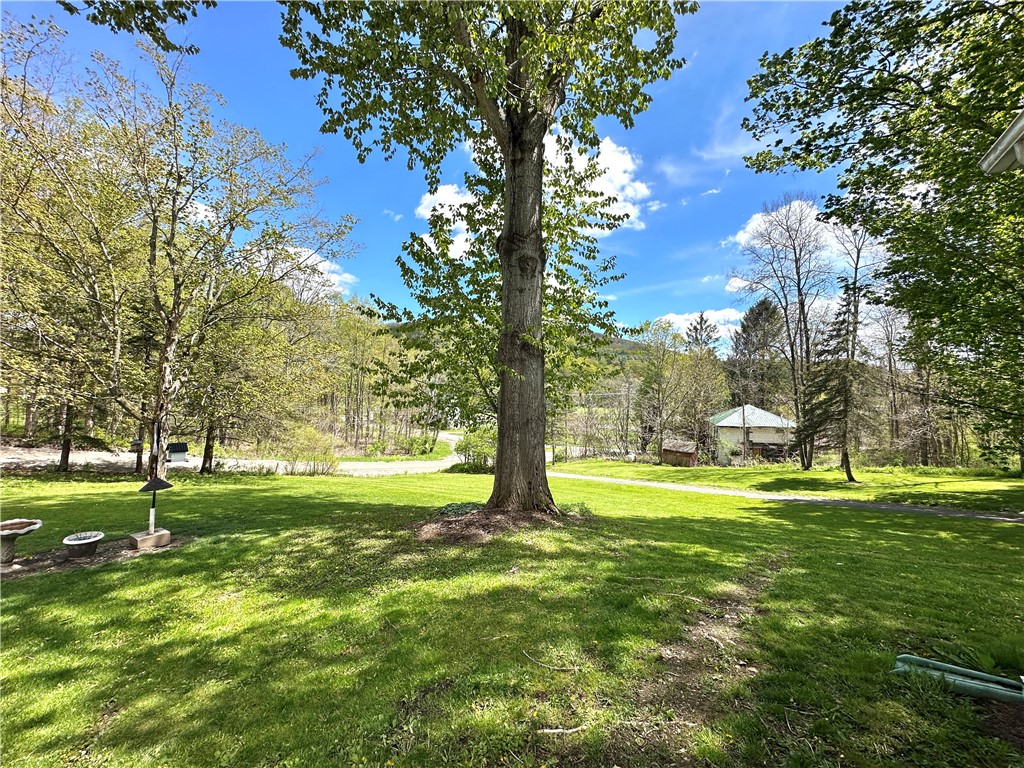 11535 Black Lock Road Naples, NY 14512 - Photo 5 of 36