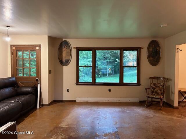 311 Cottrell Road Greenwich, NY 12834 - Photo 13 of 51 living room