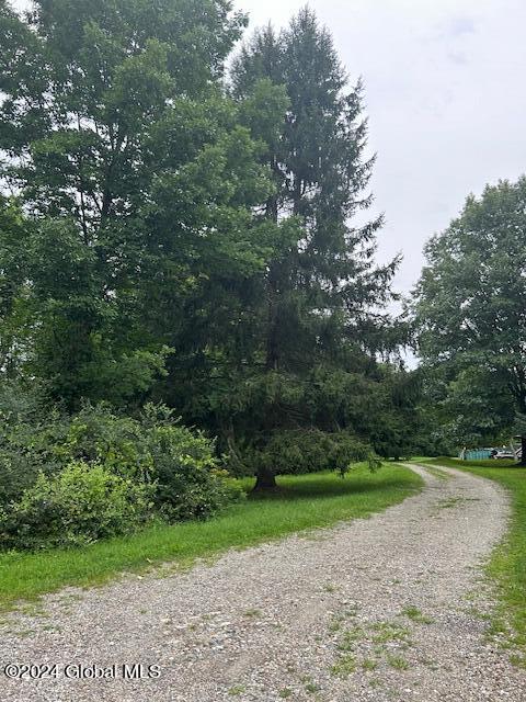 311 Cottrell Road Greenwich, NY 12834 - Photo 34 of 51 Driveway