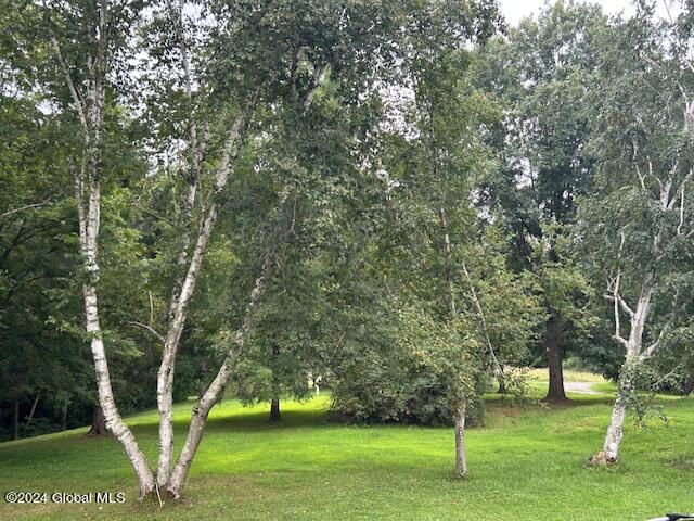 311 Cottrell Road Greenwich, NY 12834 - Photo 38 of 51 front yard