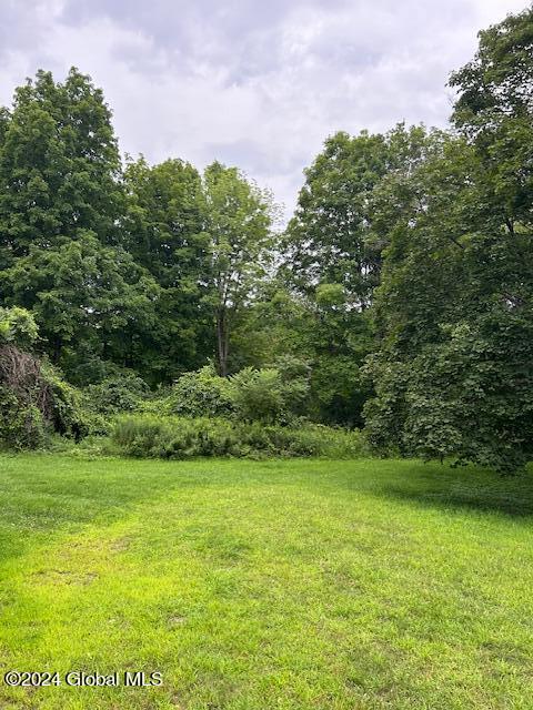 311 Cottrell Road Greenwich, NY 12834 - Photo 39 of 51 back yard