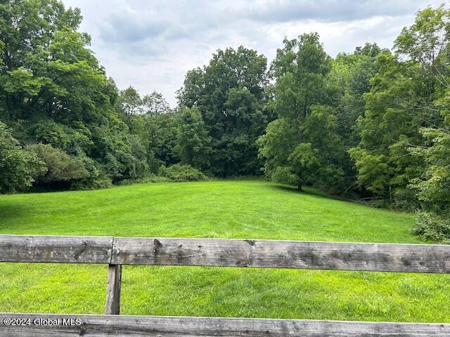 311 Cottrell Road Greenwich, NY 12834 - Photo 40 of 51 back yard