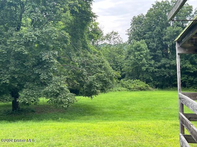 311 Cottrell Road Greenwich, NY 12834 - Photo 43 of 51 back yard