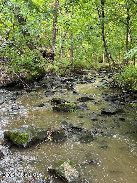 311 Cottrell Road Greenwich, NY 12834 - Photo 47 of 51 Gavettes Brook