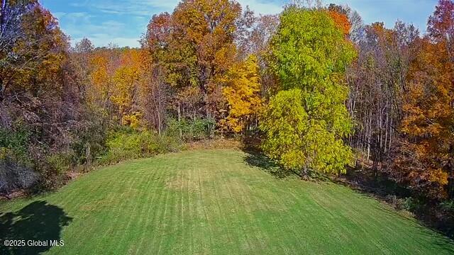 311 Cottrell Road Greenwich, NY 12834 - Photo 49 of 51 back yard