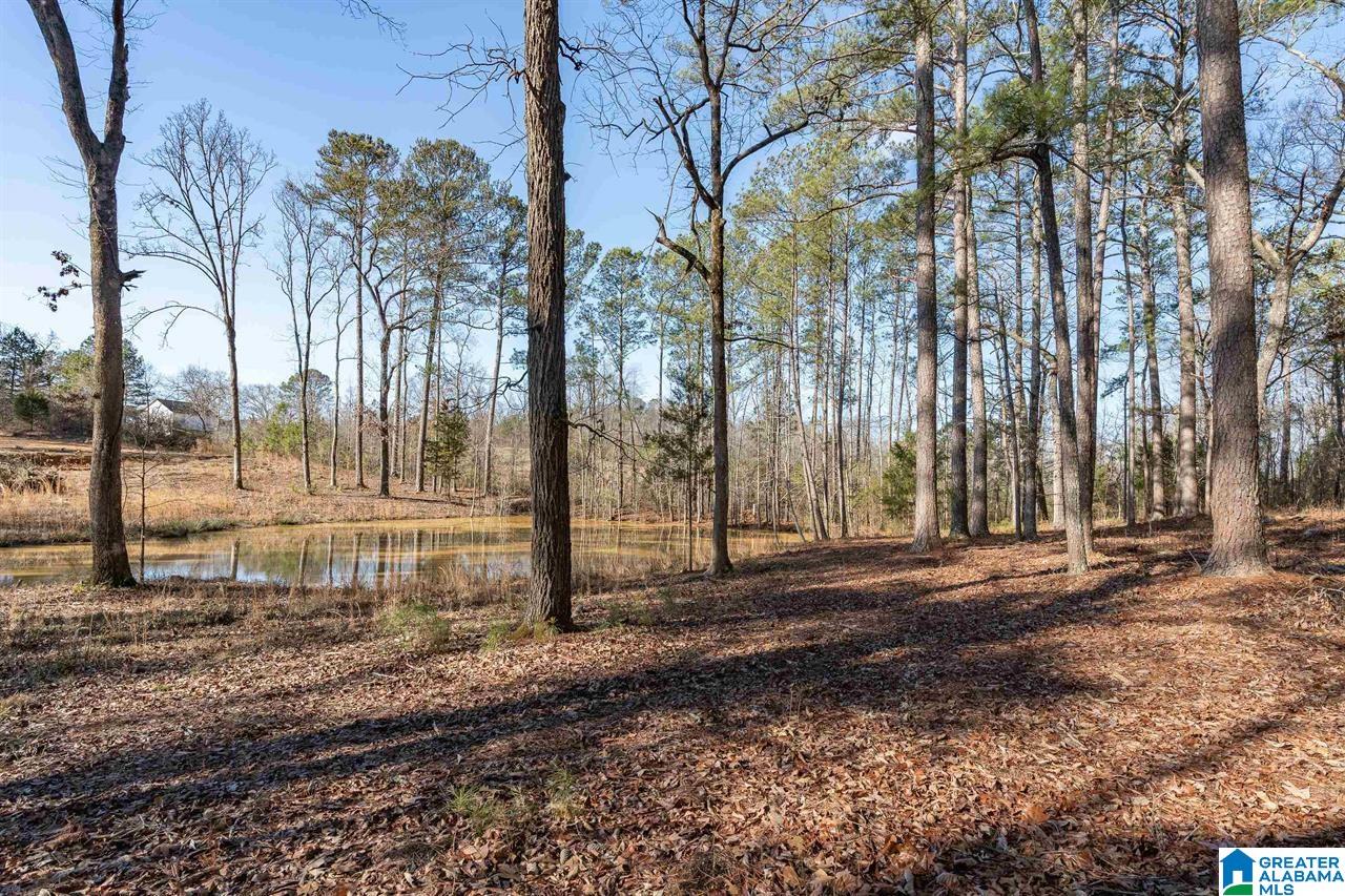 510 Cobb Road Oxford, AL 36203 - Photo 9 of 17