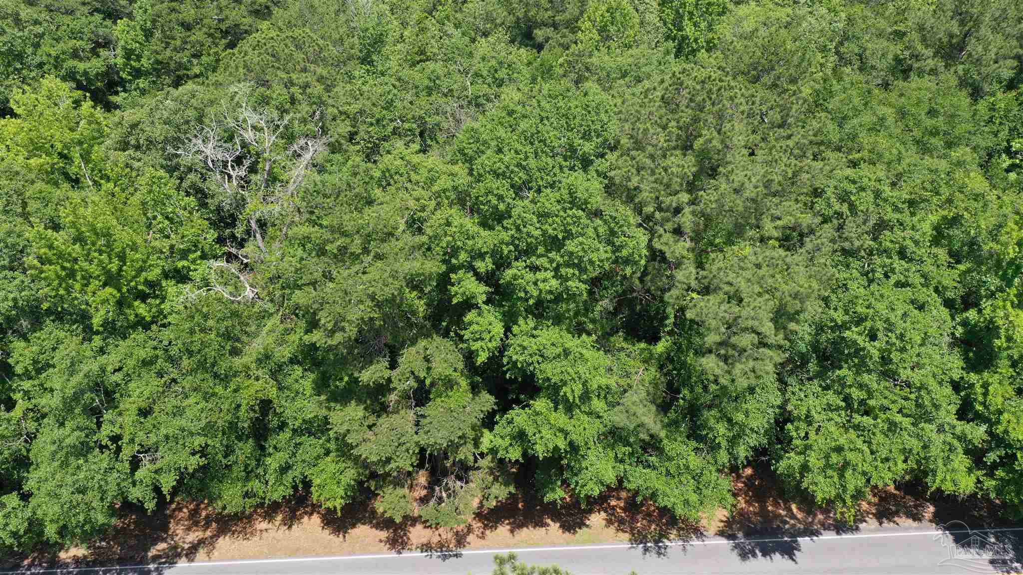 1 Jay Road, Unit LOT 2 Brewton, AL 36426 - Photo 11 of 15