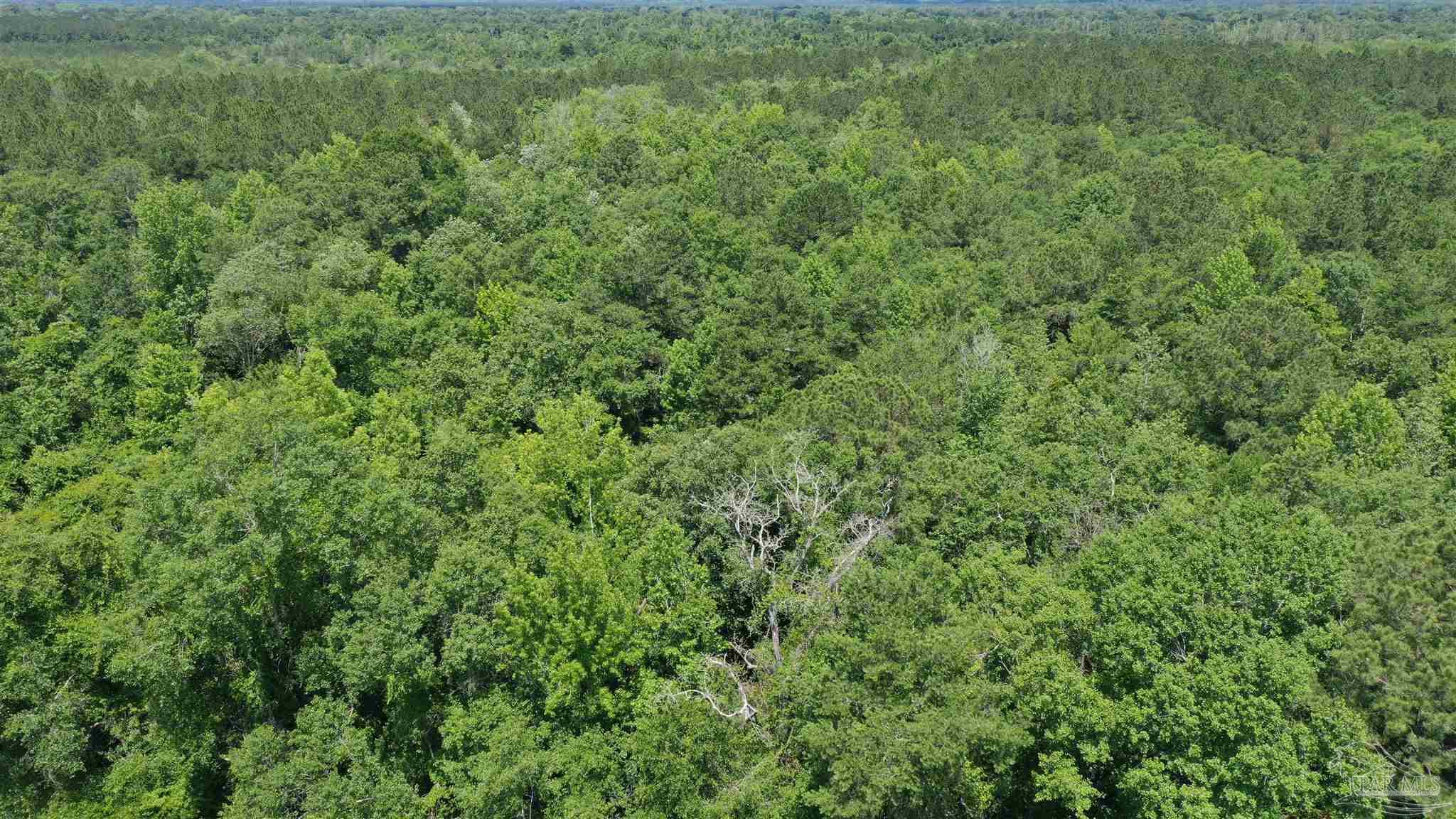 1 Jay Road, Unit LOT 2 Brewton, AL 36426 - Photo 14 of 15