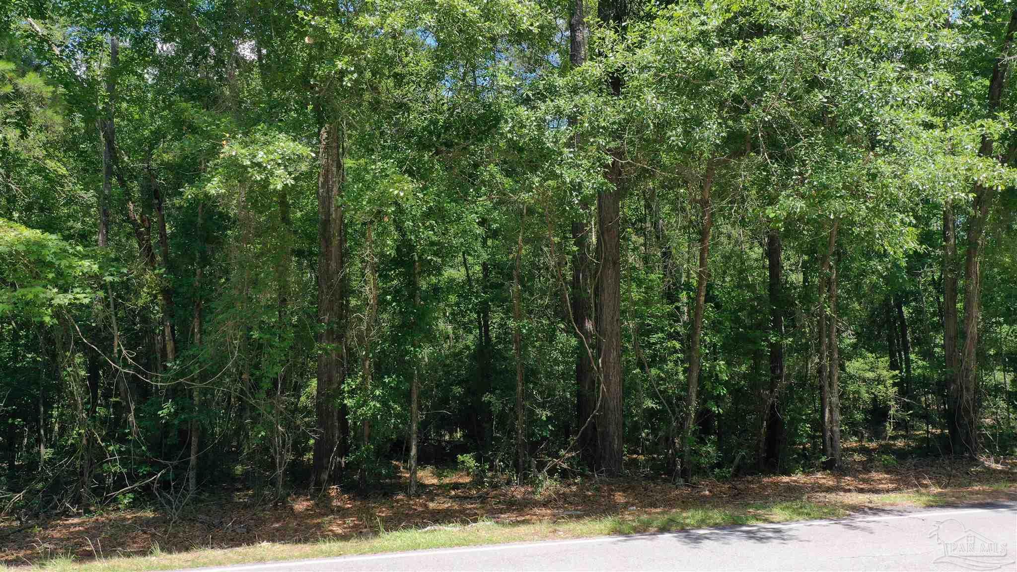 1 Jay Road, Unit LOT 2 Brewton, AL 36426 - Photo 2 of 15