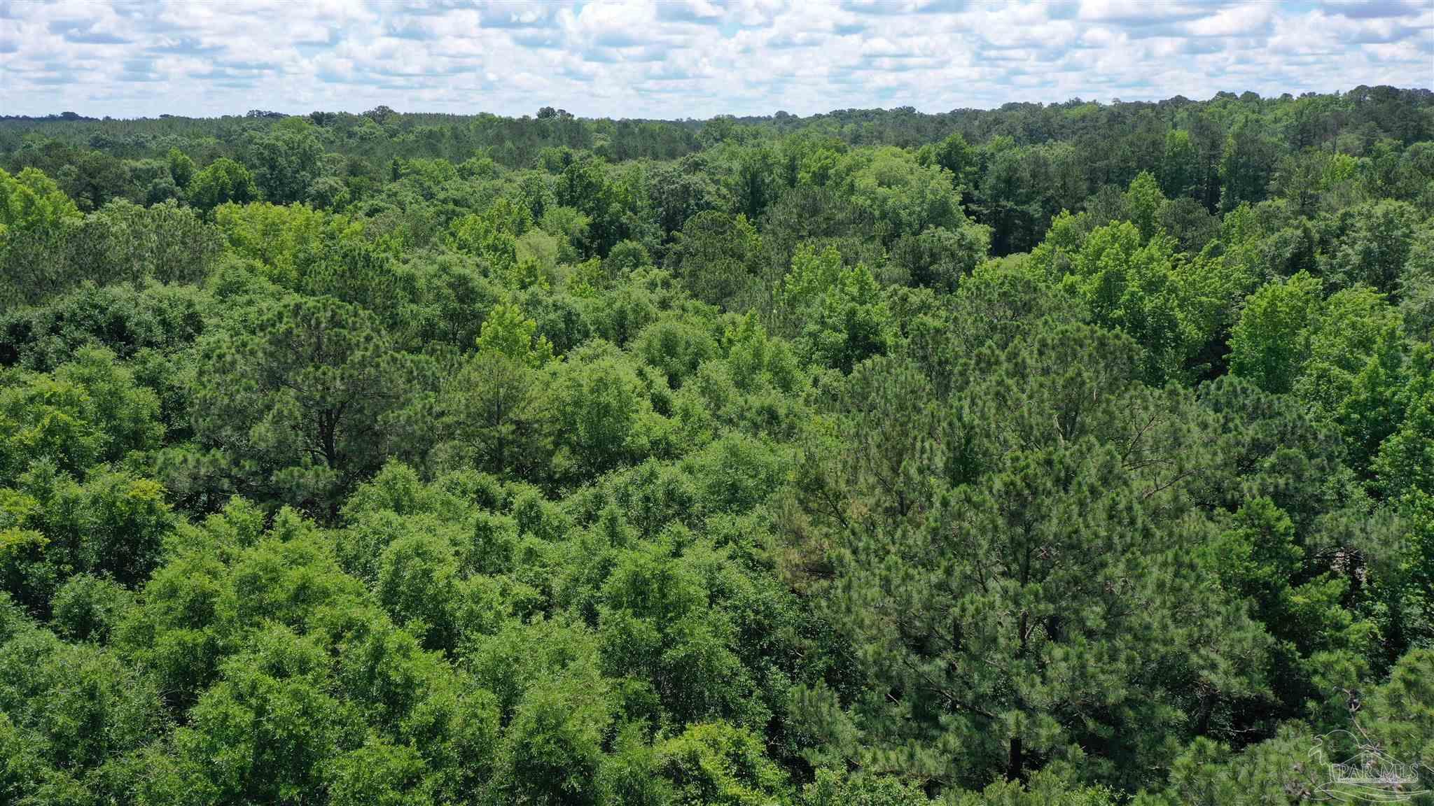1 Jay Road, Unit LOT 2 Brewton, AL 36426 - Photo 4 of 15