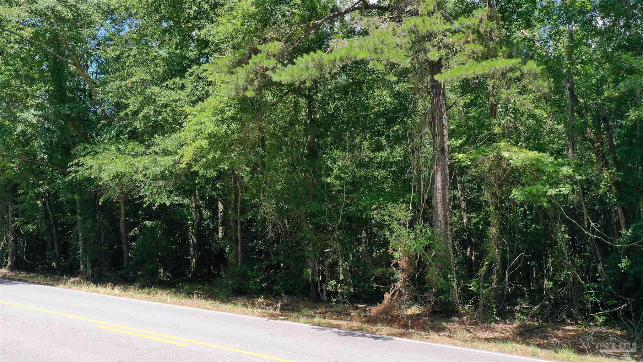 1 Jay Road, Unit LOT 2 Brewton, AL 36426 - Photo 5 of 15