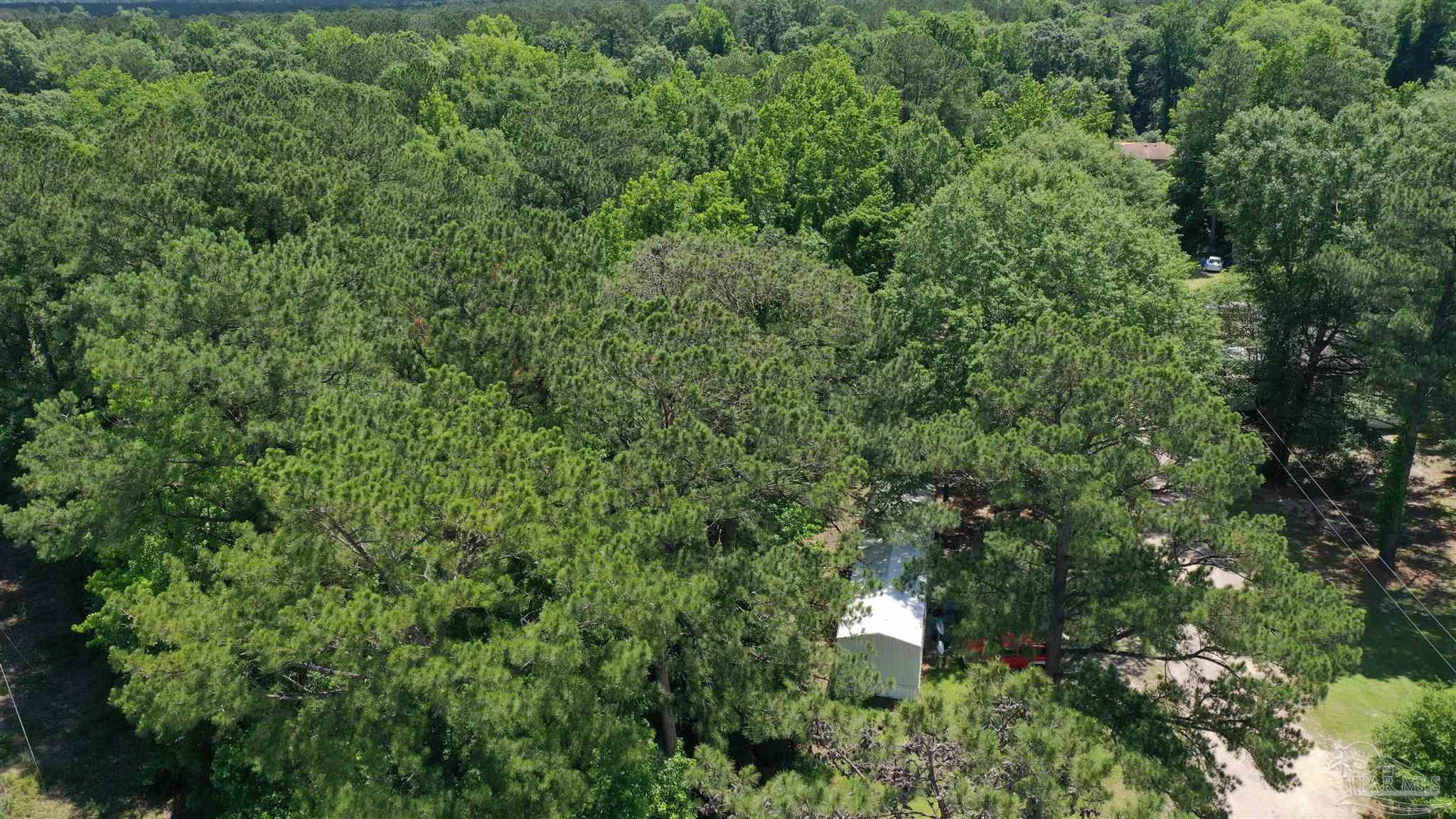 1 Jay Road, Unit LOT 2 Brewton, AL 36426 - Photo 6 of 15