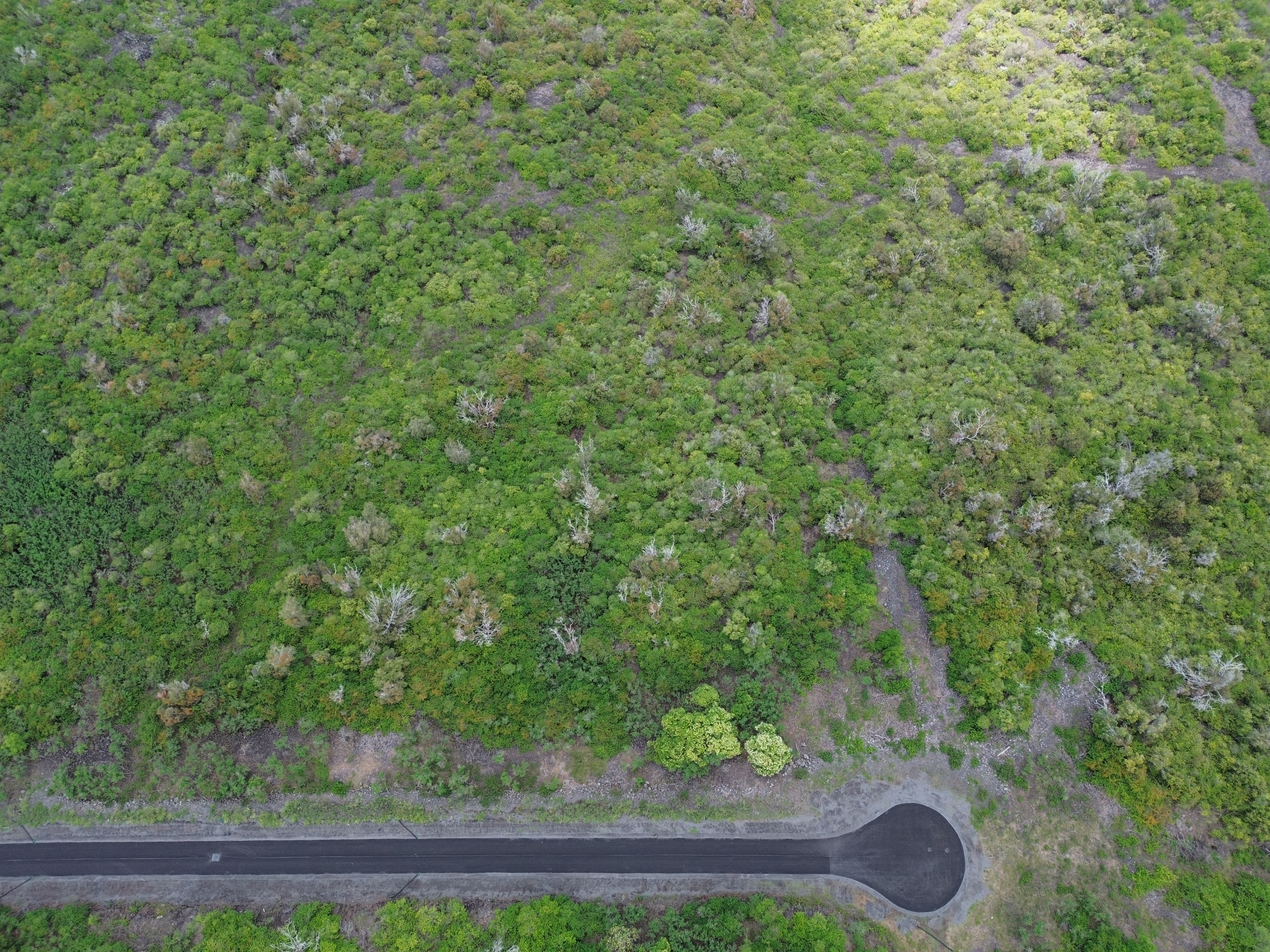a view of a yard with an outdoor space