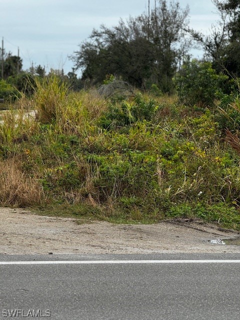 7489 Max Drive Bokeelia, FL 33922 - Photo 2 of 6 a view of a yard