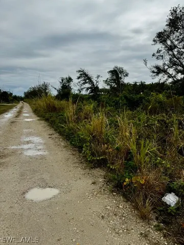 a view of a lake with a yard