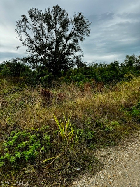 7489 Max Drive Bokeelia, FL 33922 - Photo 5 of 6 a view of a lake