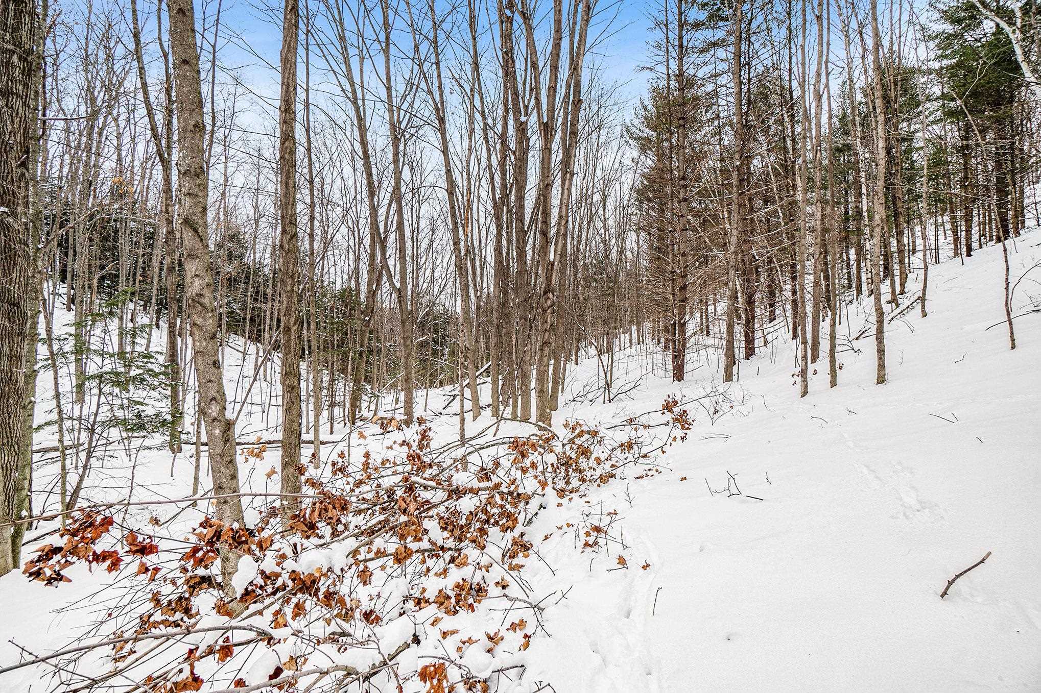 1180 Forrester Road Frankfort, MI 49635 - Photo 2 of 13