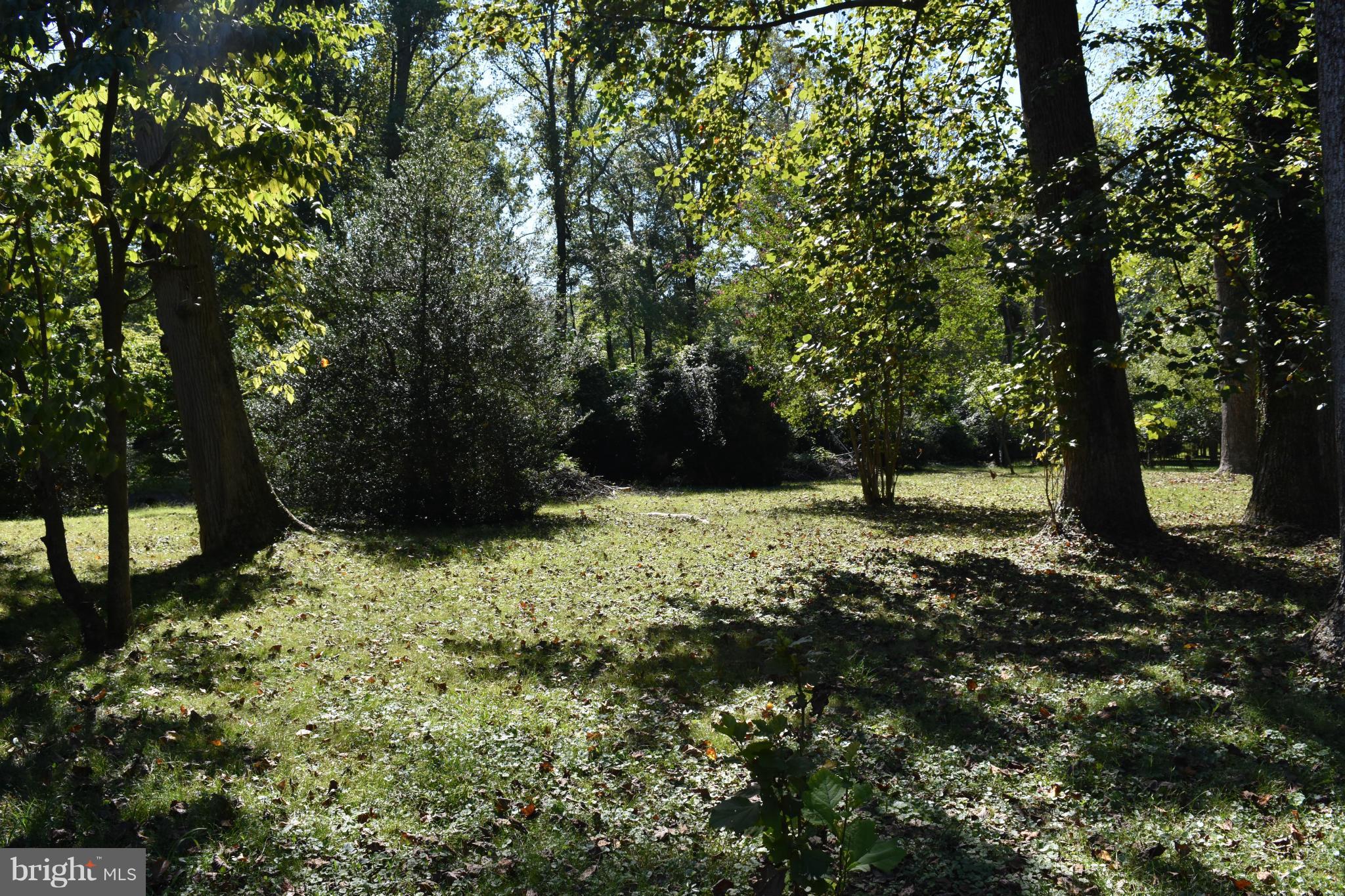 8601 Beech Tree Road Bethesda, MD 20817 - Photo 11 of 16 Grounds