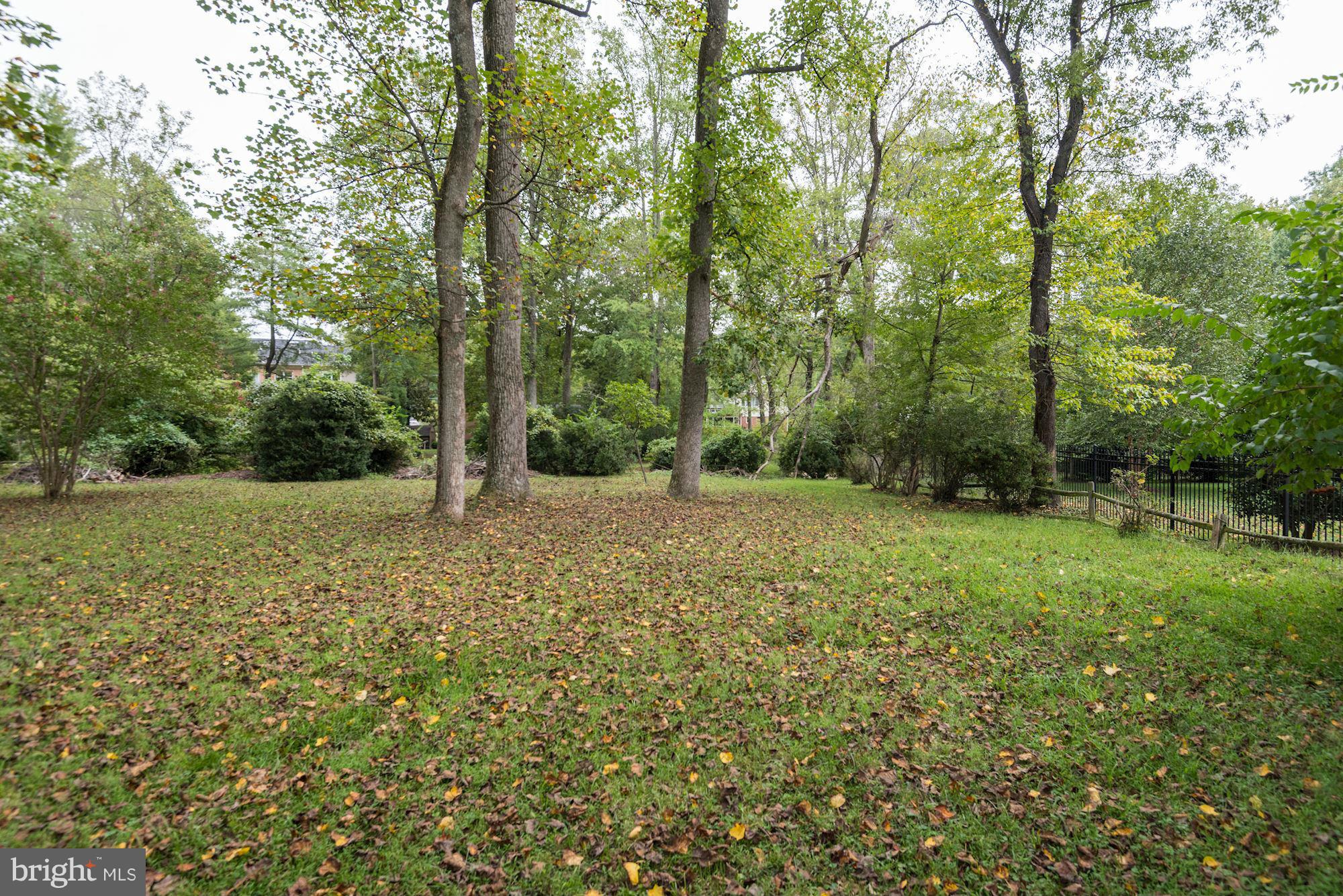 8601 Beech Tree Road Bethesda, MD 20817 - Photo 13 of 16 Rear Grounds