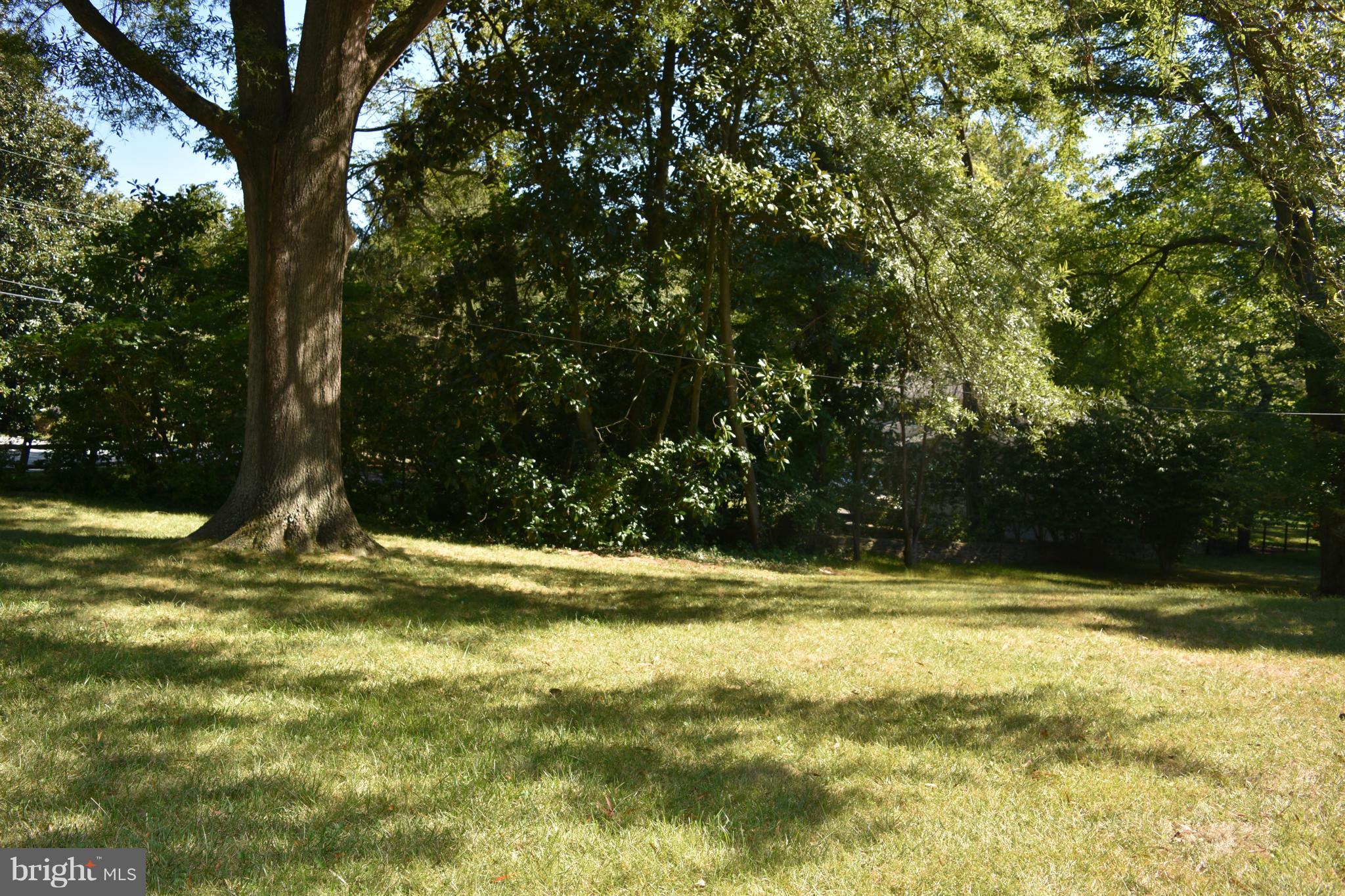 8601 Beech Tree Road Bethesda, MD 20817 - Photo 7 of 16 Grounds
