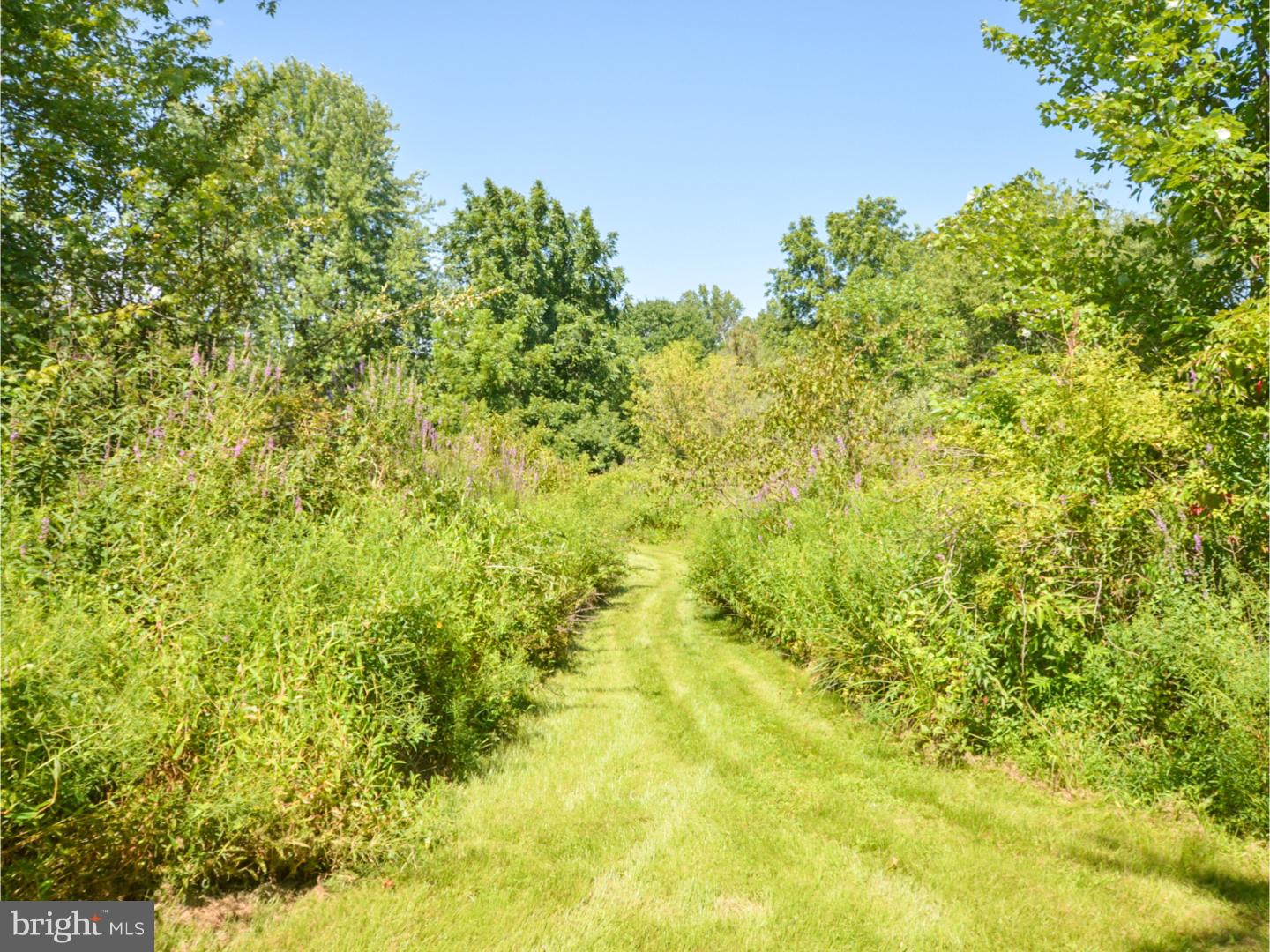 229 Pemberton Road Kennett Square, PA 19348 - Photo 23 of 25 Back Yard
