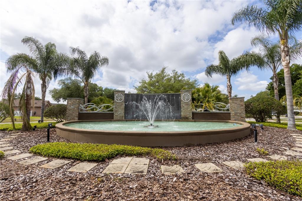 1812 Flower Branch Way Valrico, FL 33594 - Photo 42 of 42 a view of a yard with palm trees