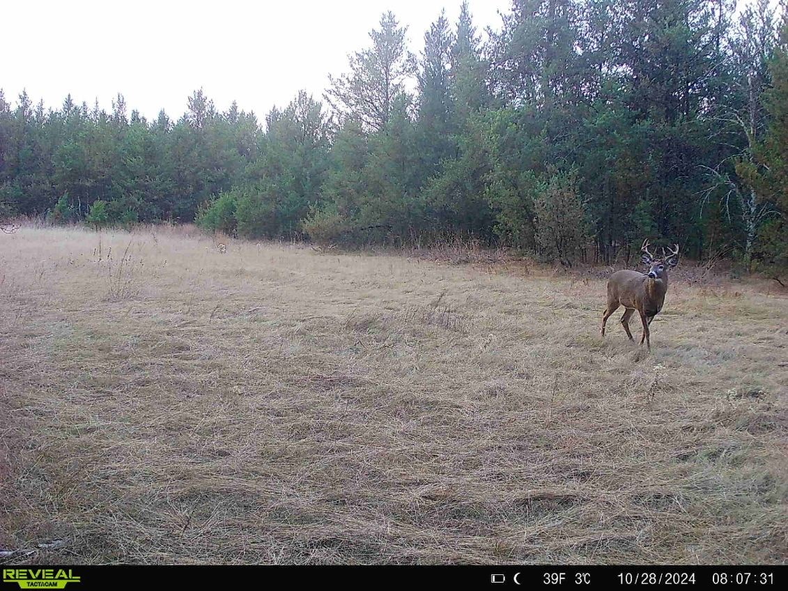 E20244 Cty Road Augusta, WI 54722 - Photo 14 of 27