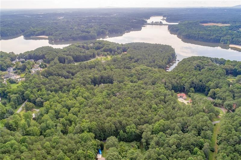 an aerial view of houses covered in trees