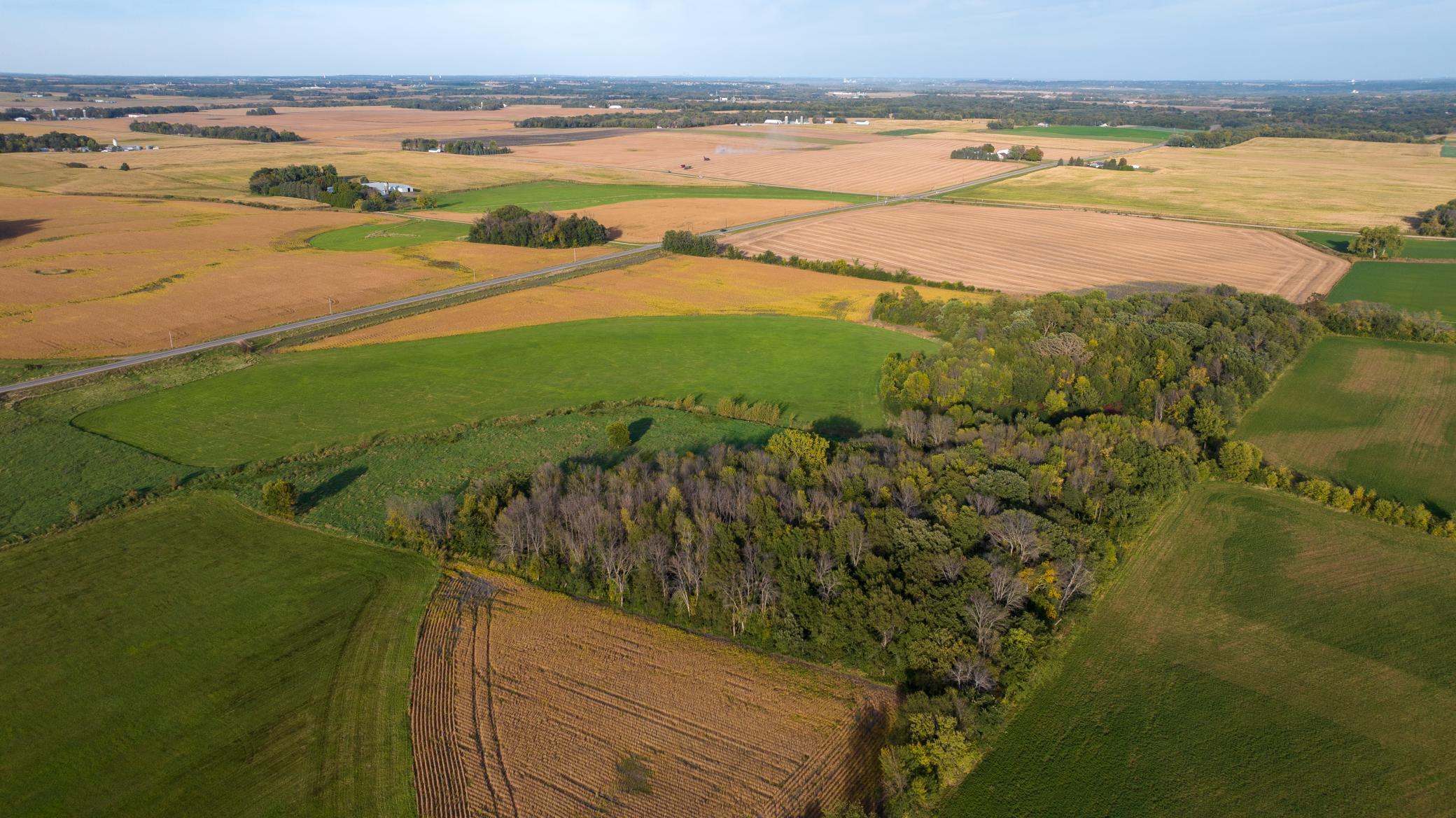 50 County Road 50 Carver, MN 55315 - Photo 12 of 21
