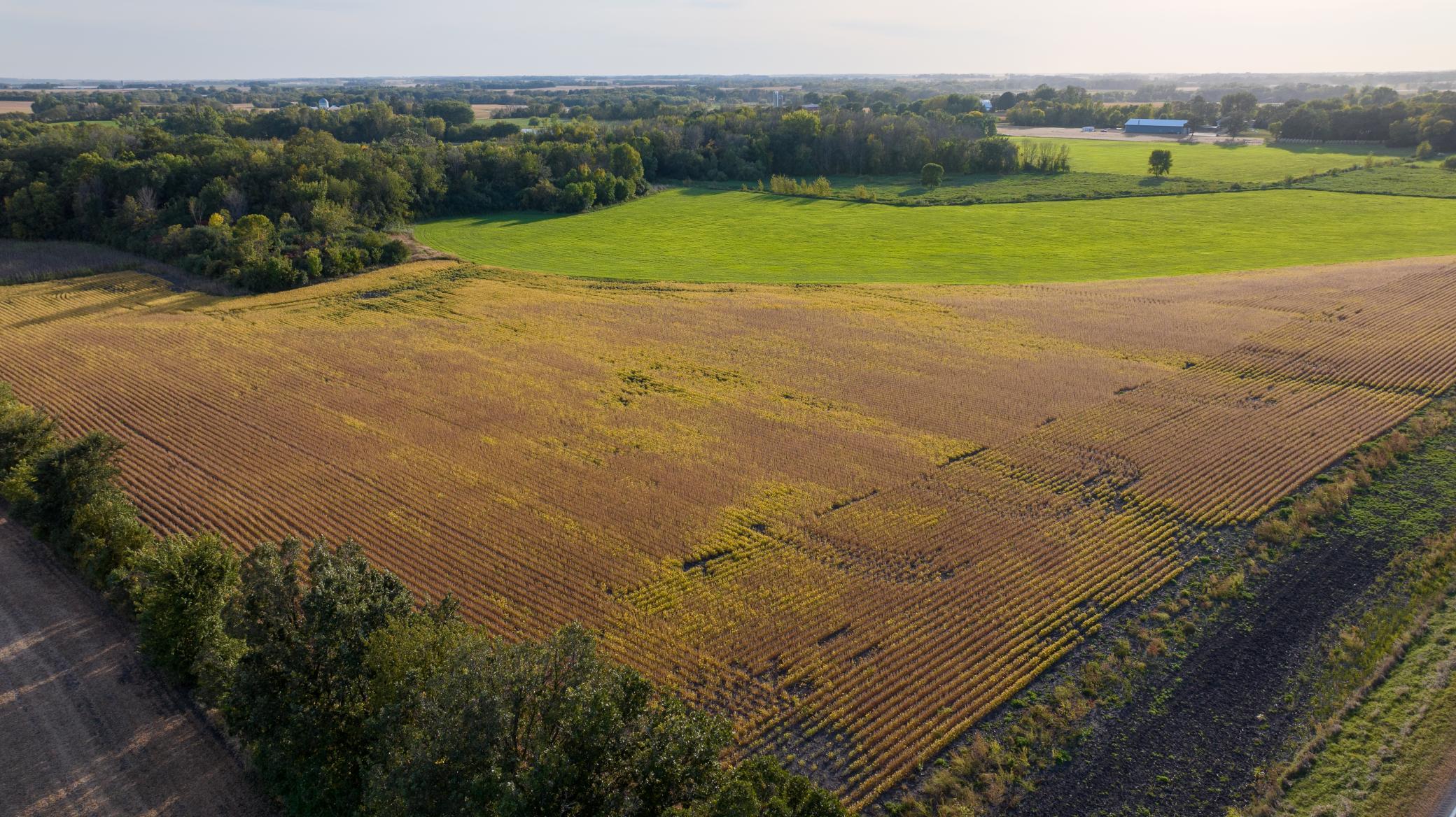 50 County Road 50 Carver, MN 55315 - Photo 17 of 21