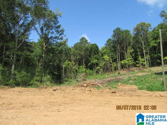 550 Davis Acres Drive, Unit 15 Alpine, AL 35014 - Photo 37 of 48