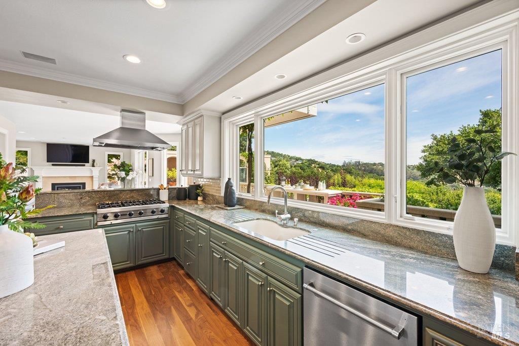 82 McNear Drive San Rafael, CA 94901 - Photo 20 of 54 a kitchen with stainless steel appliances granite countertop a sink and a counter