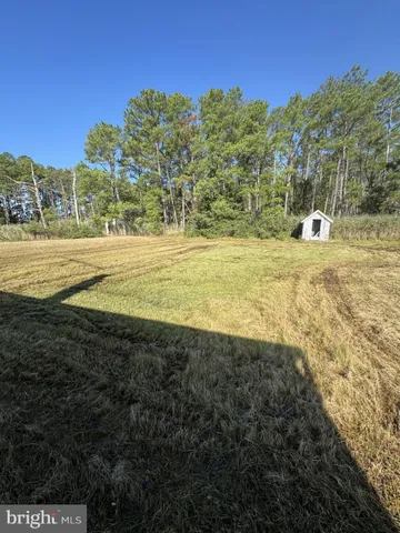 a view of a yard with an ocean view