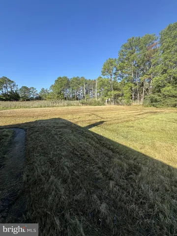 a view of an ocean and beach