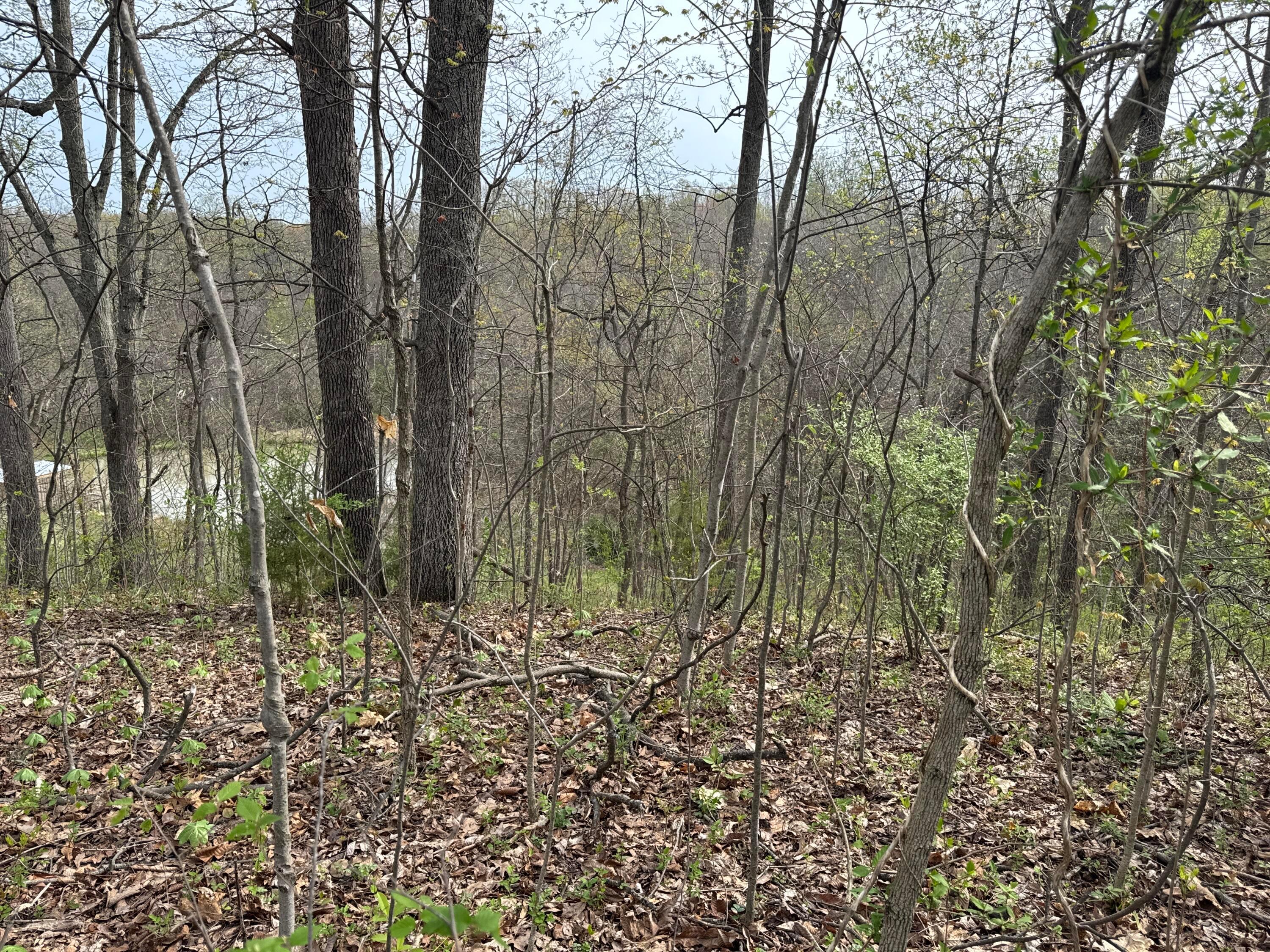 186 Crews Road Patriot, OH 45658 - Photo 20 of 48 IMG_2532