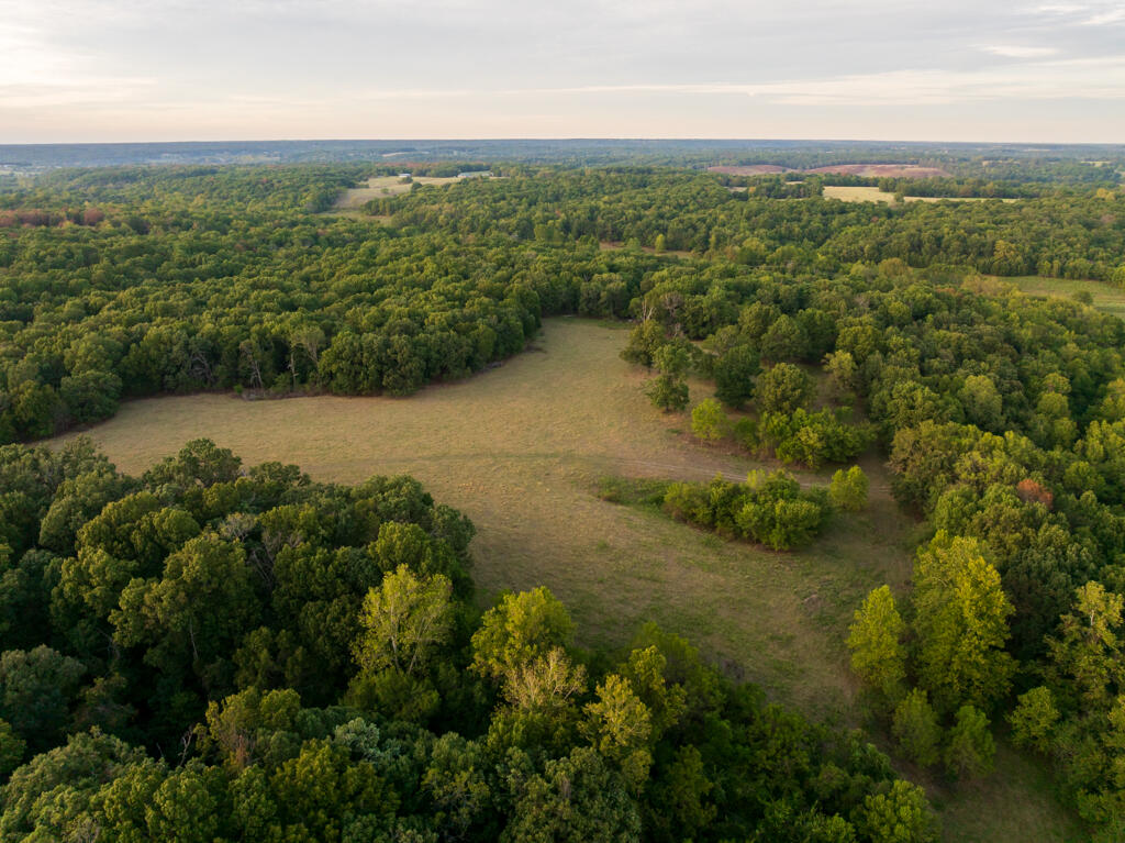 0 Atkins Road Stella, MO 64867 - Photo 15 of 51 McDonald 296 (MLS)--19