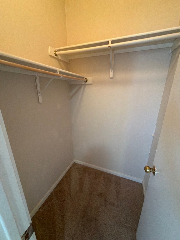 2831 Southampton Way Round Rock, TX 78664 - Photo 18 of 18 closeup view of a small space