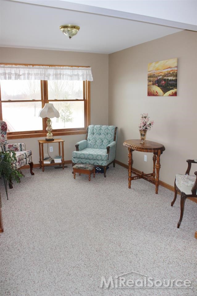 12320 Masters Road Memphis, MI 48041 - Photo 14 of 54