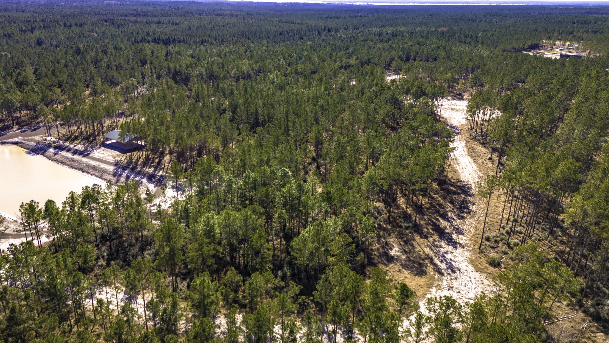 412 Tumbleweed Ranch Road Onalaska, TX 77360 - Photo 11 of 17