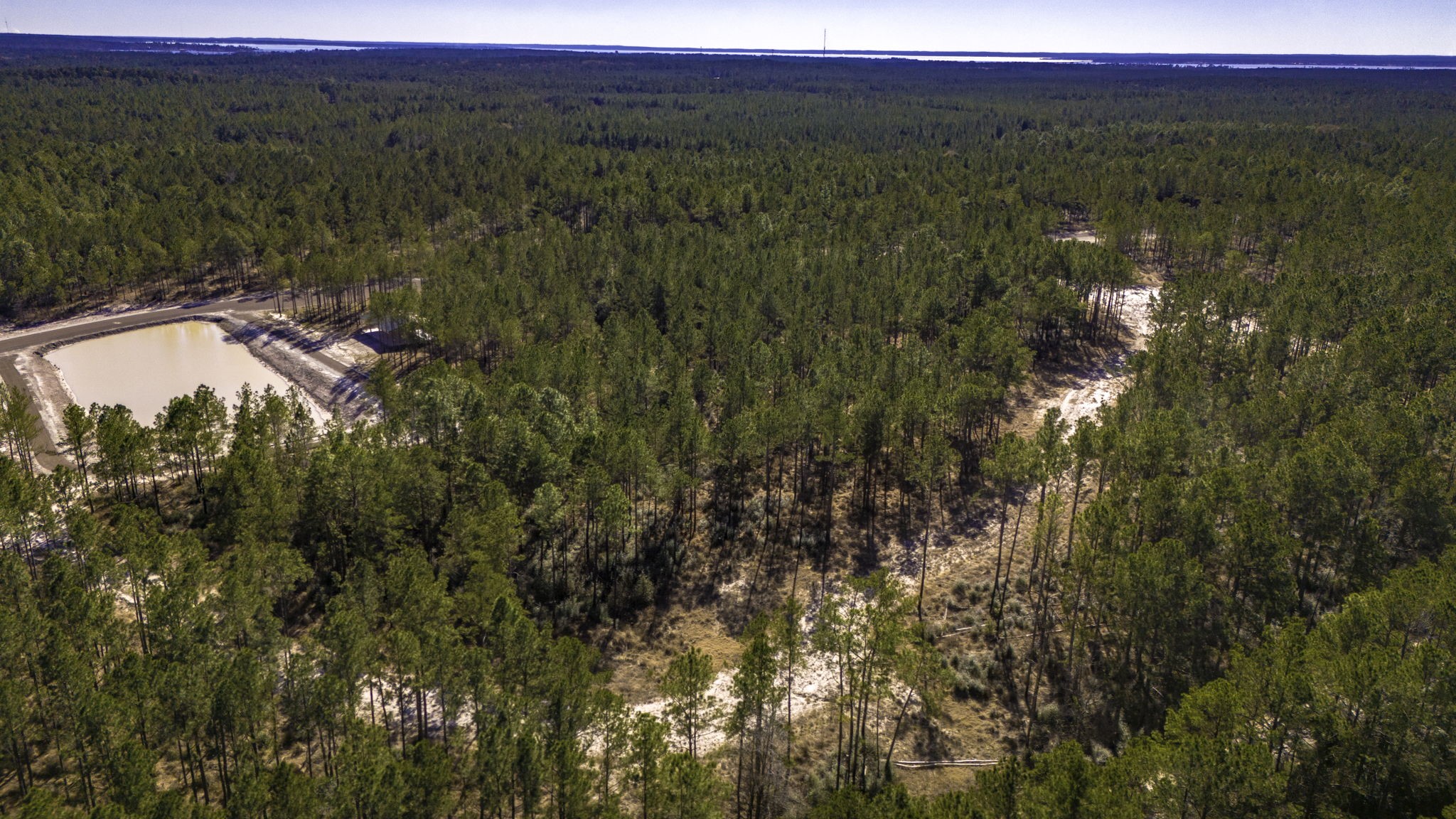 412 Tumbleweed Ranch Road Onalaska, TX 77360 - Photo 12 of 17