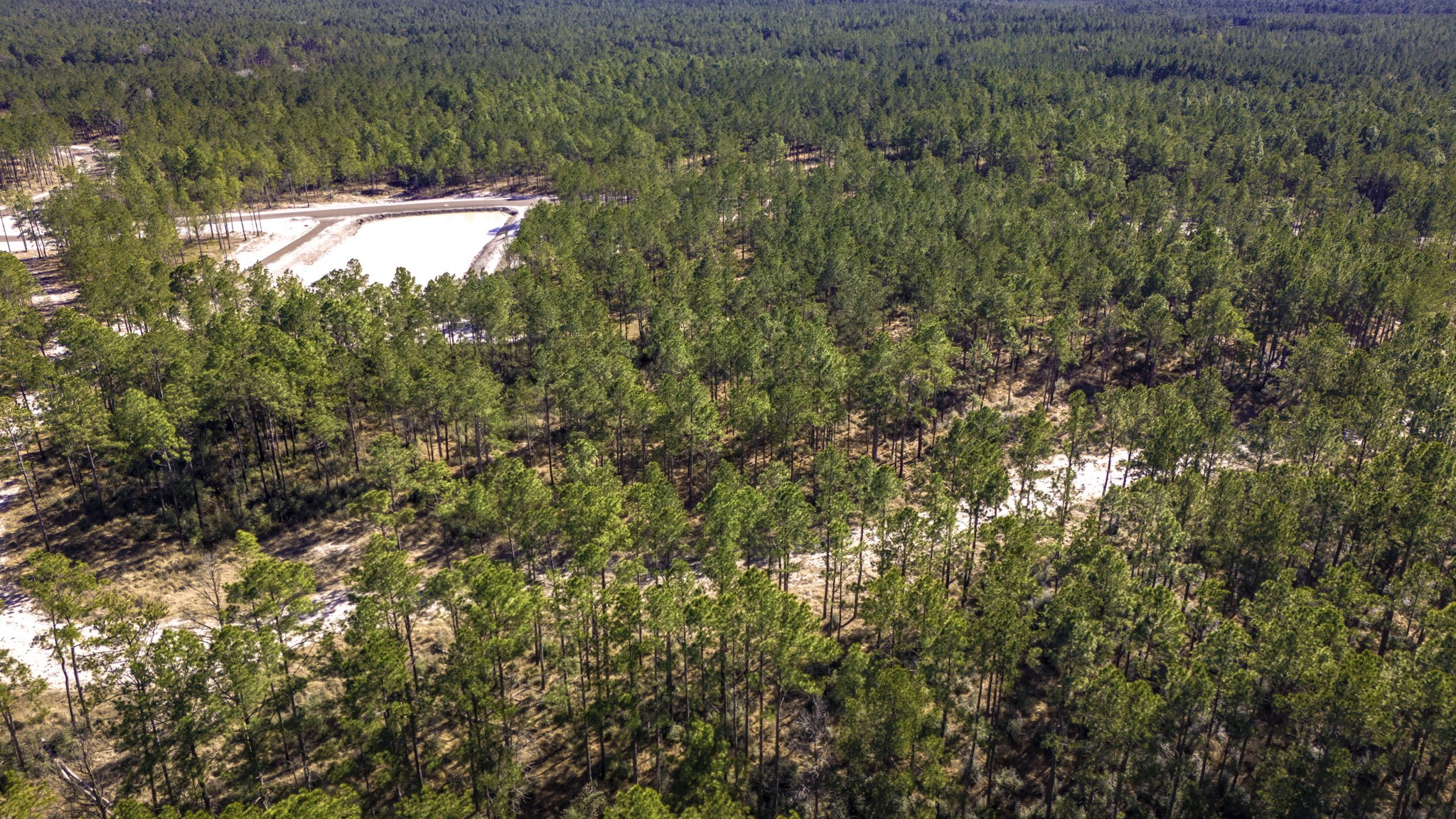412 Tumbleweed Ranch Road Onalaska, TX 77360 - Photo 13 of 17