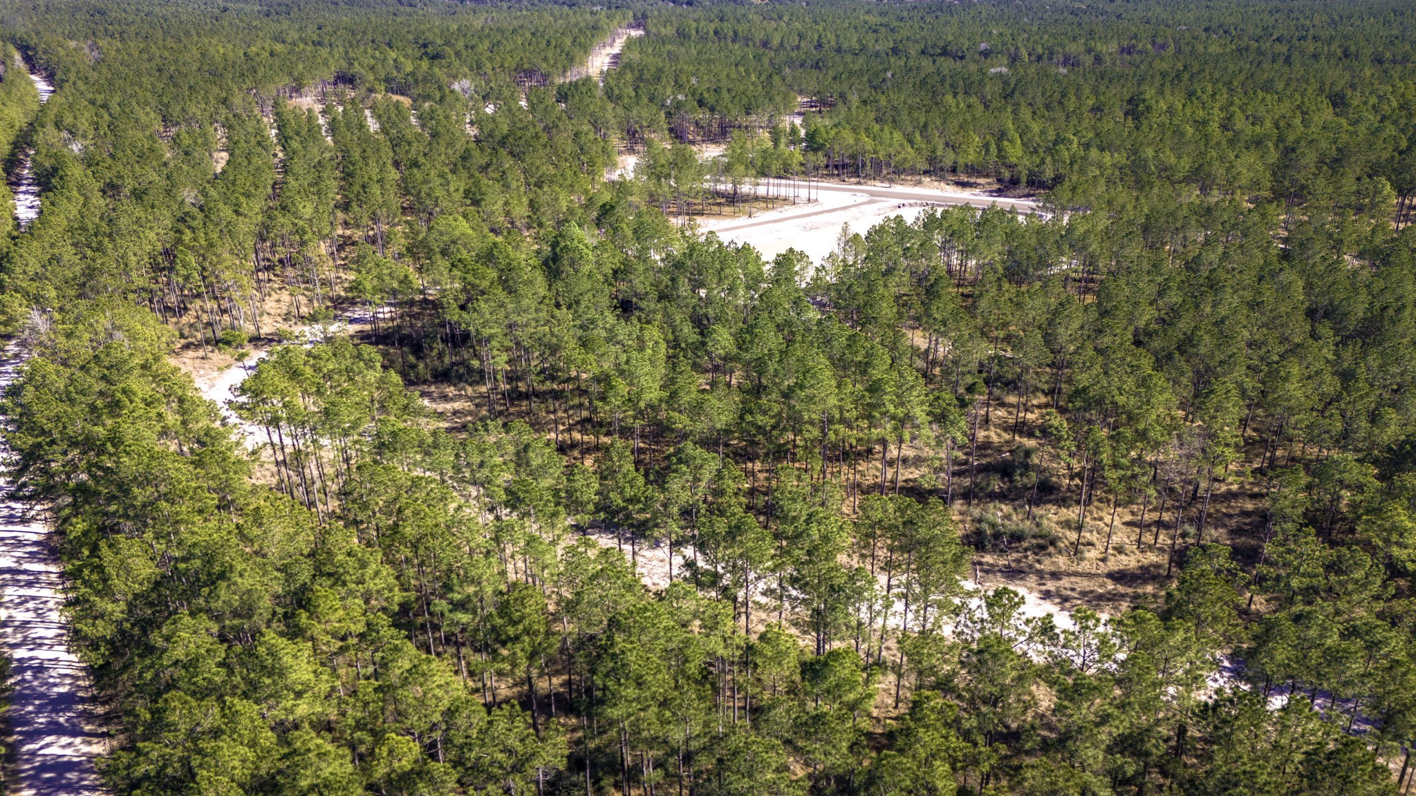 412 Tumbleweed Ranch Road Onalaska, TX 77360 - Photo 14 of 17