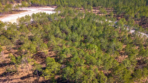 $221,880 | 412 Tumbleweed Ranch Road, Onalaska, TX 77360