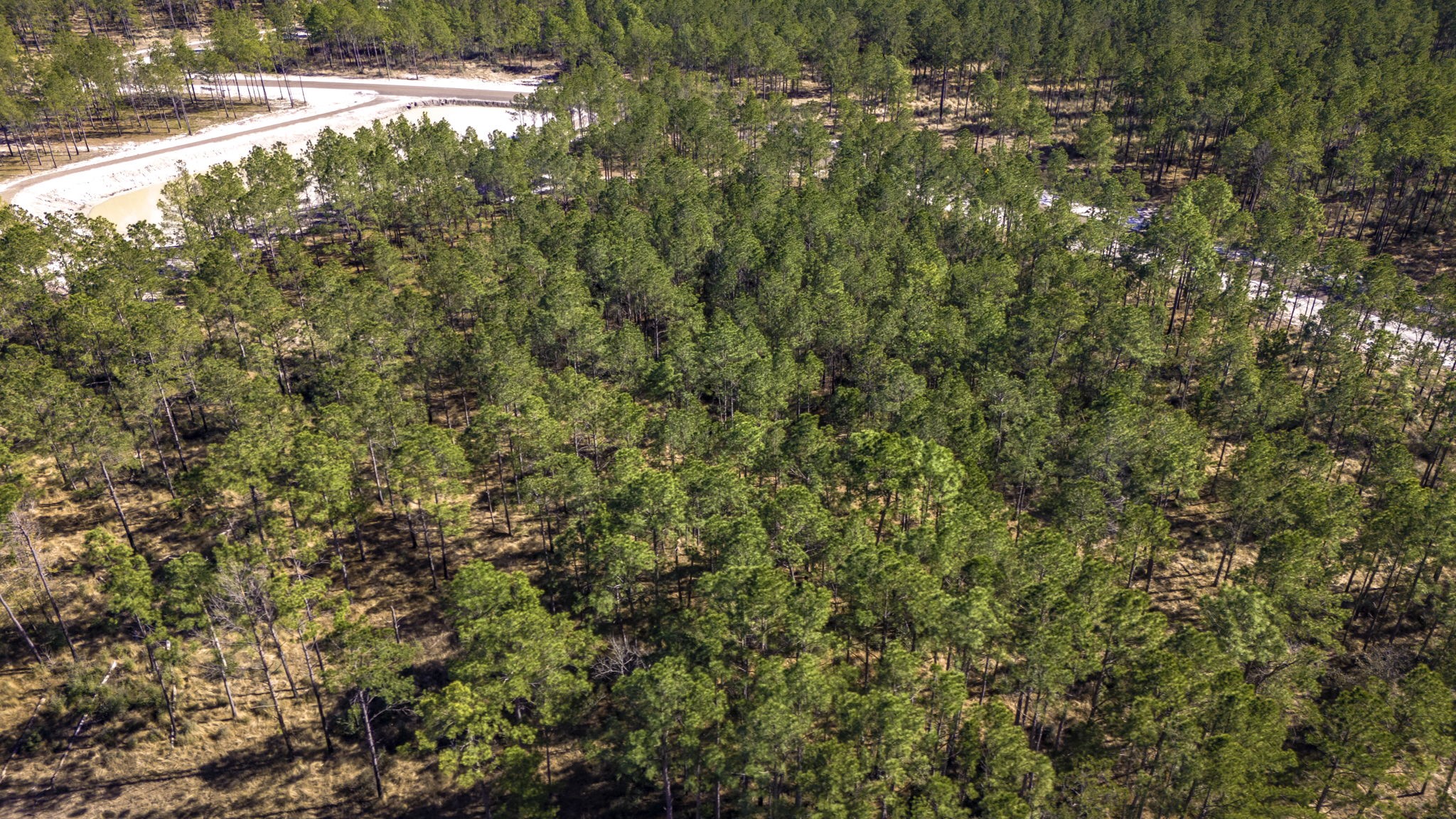 412 Tumbleweed Ranch Road Onalaska, TX 77360 - Photo 15 of 17