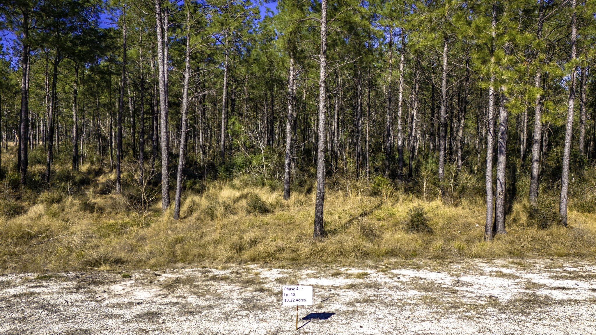 412 Tumbleweed Ranch Road Onalaska, TX 77360 - Photo 7 of 17 Lot 12, 10.32 Acres